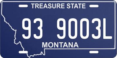 MT license plate 939003L