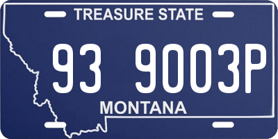 MT license plate 939003P