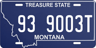 MT license plate 939003T