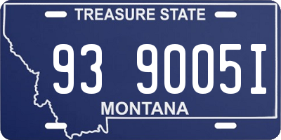 MT license plate 939005I