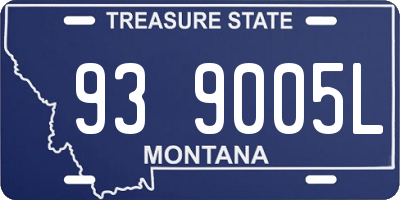 MT license plate 939005L