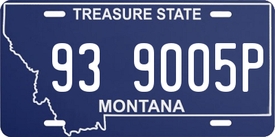 MT license plate 939005P