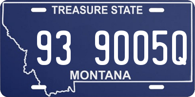 MT license plate 939005Q