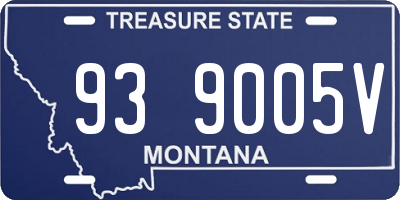 MT license plate 939005V