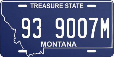 MT license plate 939007M