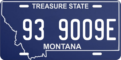 MT license plate 939009E