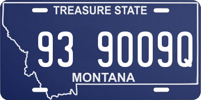 MT license plate 939009Q