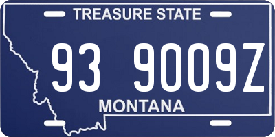 MT license plate 939009Z