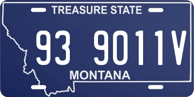 MT license plate 939011V