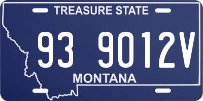 MT license plate 939012V