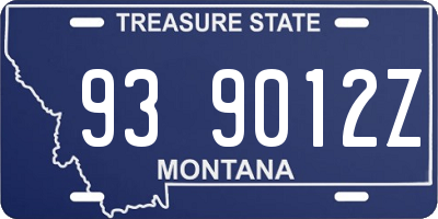 MT license plate 939012Z