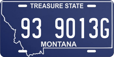 MT license plate 939013G