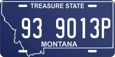 MT license plate 939013P