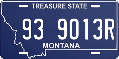 MT license plate 939013R