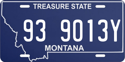 MT license plate 939013Y