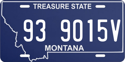 MT license plate 939015V