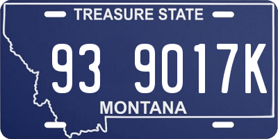 MT license plate 939017K