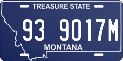 MT license plate 939017M