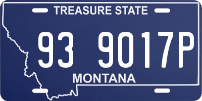MT license plate 939017P