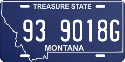 MT license plate 939018G