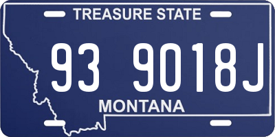 MT license plate 939018J