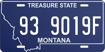 MT license plate 939019F