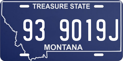 MT license plate 939019J