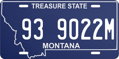 MT license plate 939022M