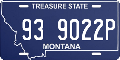 MT license plate 939022P