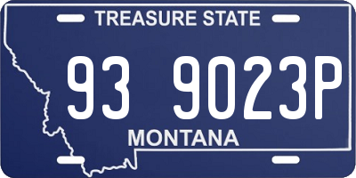 MT license plate 939023P