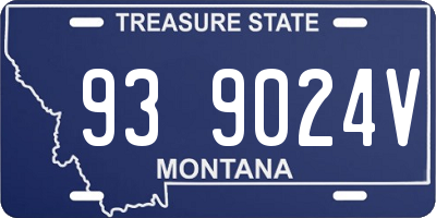 MT license plate 939024V