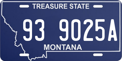 MT license plate 939025A