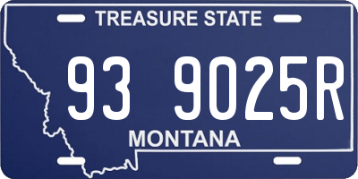 MT license plate 939025R