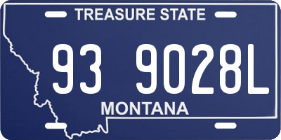 MT license plate 939028L