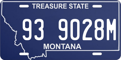 MT license plate 939028M