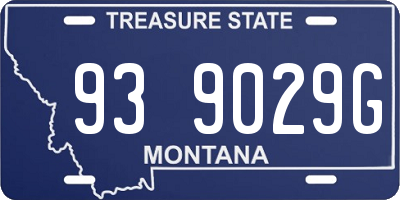 MT license plate 939029G