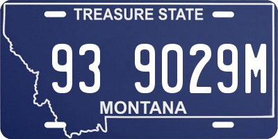 MT license plate 939029M