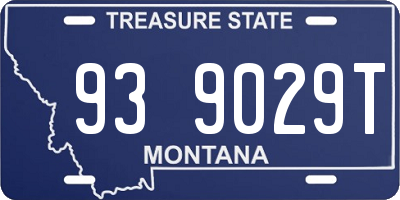 MT license plate 939029T