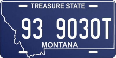 MT license plate 939030T