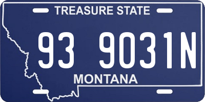 MT license plate 939031N