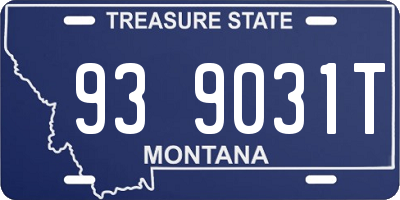 MT license plate 939031T