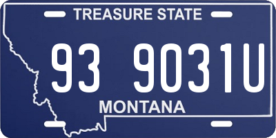 MT license plate 939031U