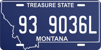MT license plate 939036L