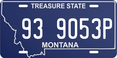 MT license plate 939053P