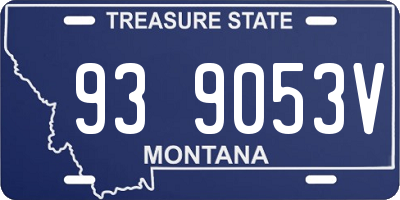 MT license plate 939053V