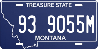 MT license plate 939055M