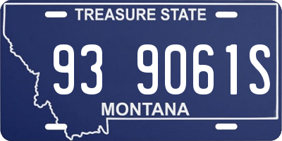 MT license plate 939061S