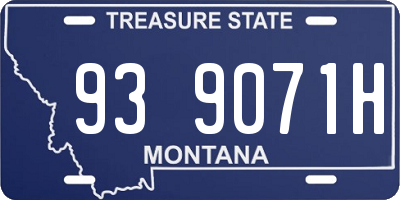 MT license plate 939071H