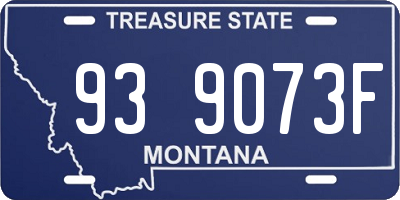 MT license plate 939073F