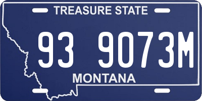 MT license plate 939073M